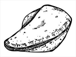 galleta de la fortuna china dibujada a mano vectorial. ilustración de comida galleta crujiente con un papel en blanco dentro. para impresión, web, diseño, decoración, logotipo. vector