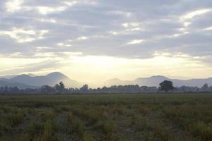 Landscape, sunny dawn in a field photo