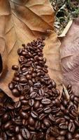 Coffee beans on dried teak leaves, brown background, texture photo