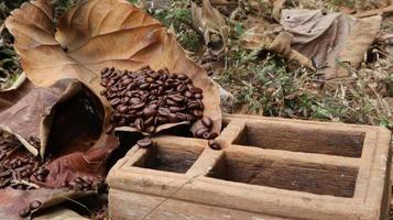 granos de café sobre hojas de teca secas, cajas de madera de teca