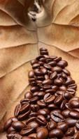 granos de café sobre hojas secas de teca, fondo marrón, textura foto