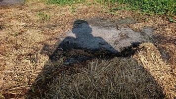 Dry straw from burning and shadows photo