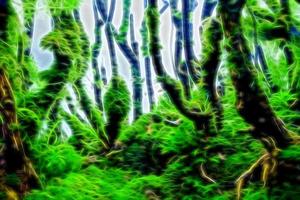 Abstract water plant or aquatic plant or aquatic weed photo