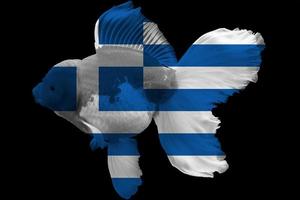 Flag of Greece on goldfish photo