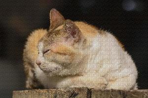 sueño de gato de baja poli foto