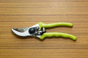 Old pliers gardening tool photo