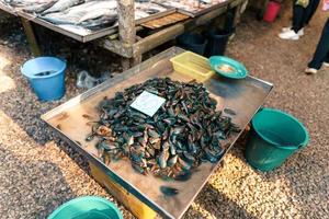 mercado de pescado en krabi, mariscos crudos en un mercado cerca del mar tropical foto