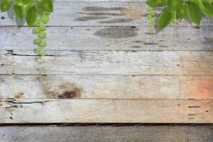 textura de madera en la naturaleza foto