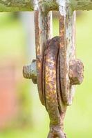 The old chain swing photo