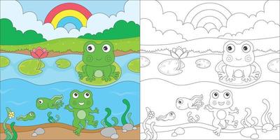 ciclo de vida de la rana para colorear vector