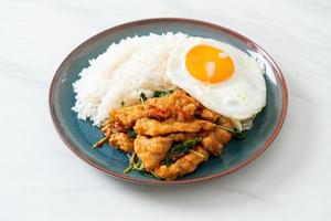 stir-fried fried fish with basil and fried egg topped on rice photo