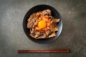 pork bulgogi rice bowl with kimchi and Korean pickled egg photo