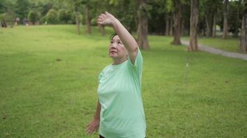 donna anziana in sovrappeso asiatica che fa esercizio in piedi di arti marziali tai chi da sola al parco, benessere della persona in pensione, movimento di bilanciamento del corpo braccio alzare le mani in aria, prato d'erba ambiente naturale video