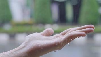 Close-up hand catches raindrops, feel rain touch the nature, a living in tropical rainy season, humidity air condensation, slow motion of water drops and splashes from human palm, water consumption video