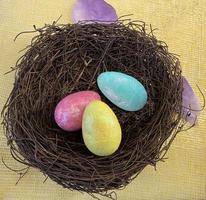 Colored Easter Egg inside a little bird nest. Easter Celebration. photo