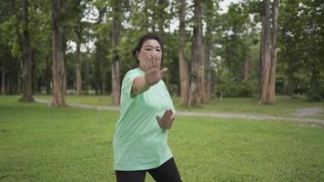 asiatisk överviktig senior kvinna tränar kinesisk kampsport träning tai chi chuan i parken, ålderdom hälsosamt liv efter pensionering, djup långsam rörelse, djupa andetag slappna av lugn meditation video