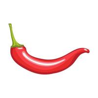 Chili pepper Illustration isolated on white background vector