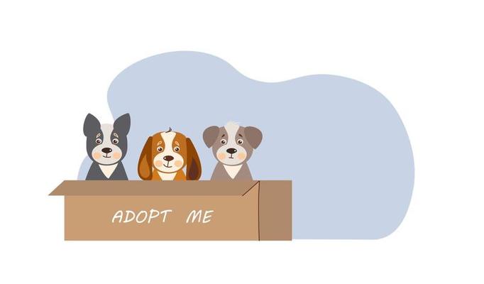 Adopt me cartoon landing page with homeless pets Vector Image