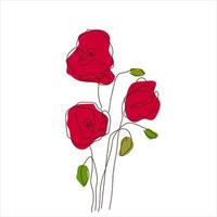 Red poppies on white background. Continuous one line art style. vector