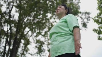 donna asiatica di mezza età sovrappeso che fa esercizio in piedi di tai chi al parco, esercizio di vecchiaia senior vita sana, movimento della parte superiore del corpo delle braccia, mente corpo e natura sincronizzano il bilanciamento, buona salute video