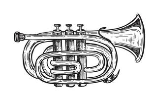 trompeta, instrumentos musicales, ilustración dibujada a mano. vector. vector