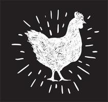 Chicken hand drawn illustration, vector. vector