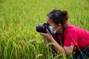 An asian senior wears jeans, red t-shirt, mask and holds digital camera to shot the ears of rice in the green rice paddy field happily. Soft and selective focus, happy life after early retire concept. photo