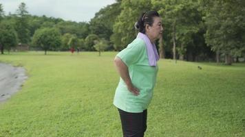 Asian active over weight aged woman doing hip warm up exercise on green grass, cool down after exercise at the park, old age self-care healthy life motivation after retirement, standing hands on hips video