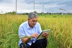 Asian senior man wears white shirt and jeans sitting in the middle of the rice paddy field and taking smartphone or taplet to take photos and to use the social network to share his daily life.