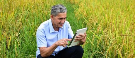 Asian senior man wears white shirt and jeans sitting in the middle of the rice paddy field and taking smartphone or taplet to take photos and to use the social network to share his daily life.