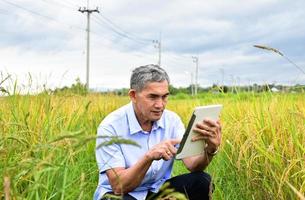 Asian senior man wears white shirt and jeans sitting in the middle of the rice paddy field and taking smartphone or taplet to take photos and to use the social network to share his daily life.