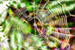 Abstract spider web photo