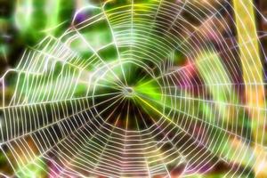 Abstract spider web photo