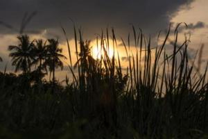 Sun Beam in Dark Clouds and Sky photo