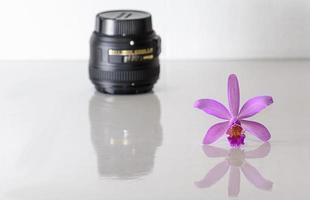 Orquídea Cattleya y lente borrosa sobre fondo blanco. foto