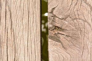 la textura de la madera es la obra de arte. foto