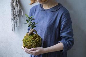 kokedama with bonsai tree or succulent tree in the hands of female close up photo