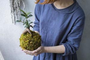 kokedama with bonsai tree or succulent tree in the hands of female close up photo