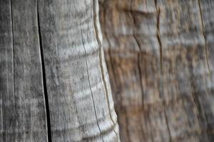 The front surface of the wood hemisphere has been exposed to the sun and weathered to cause mold on the wood. photo