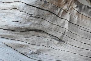 The front surface of the wood hemisphere has been exposed to the sun and weathered to cause mold on the wood. photo