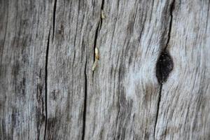 The front surface of the wood hemisphere has been exposed to the sun and weathered to cause mold on the wood. photo