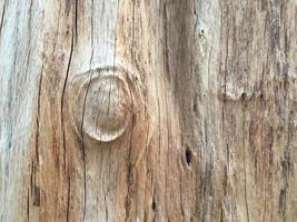 The front surface of the wood hemisphere has been exposed to the sun and weathered to cause mold on the wood.