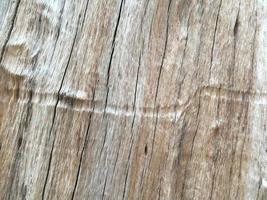 la superficie frontal del hemisferio de madera ha sido expuesta al sol y desgastada para causar moho en la madera. foto