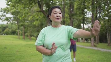 mujer asiática de mediana edad practicando tai chi ejercicio de artes marciales chinas en el parque verde con su pareja en segundo plano, vida después de jubilarse, movimiento lento, respiración profunda, relajación, ambiente tranquilo y pacífico video