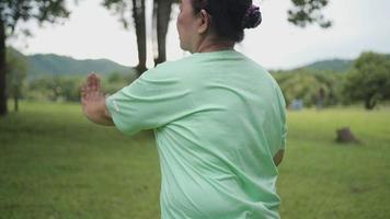 asiatische alte Frau, die allein im Park Tai Chi-Kampfkunst-Tanzübungen macht, Wellness, Wohlbefinden, Leben im Ruhestand, langsame und ausgleichende Bewegung, entspannt sich ruhig, friedlich und fühlt sich in der Umgebung um
