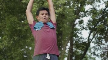 Asian mature man doing arm stretching warm up before exercise in the outdoor park with trees background, after morning exercise routine, active Motivation after retirement life, health care insurance video