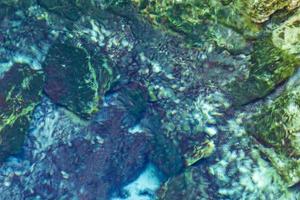 Blue turquoise water limestone cave sinkhole cenote Tajma ha Mexico. photo