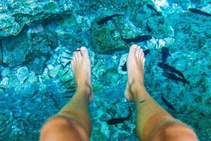 los peces muerden los pies en el agua cenote tajma ha mexico. foto