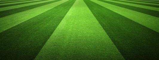 Soccer field with green grass. Sport lawn background photo