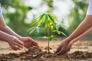 madre con hijos ayudando a plantar árboles en la naturaleza para salvar la tierra. concepto de medio ambiente eco foto